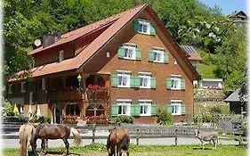 Hotel Gasthaus Schäfle